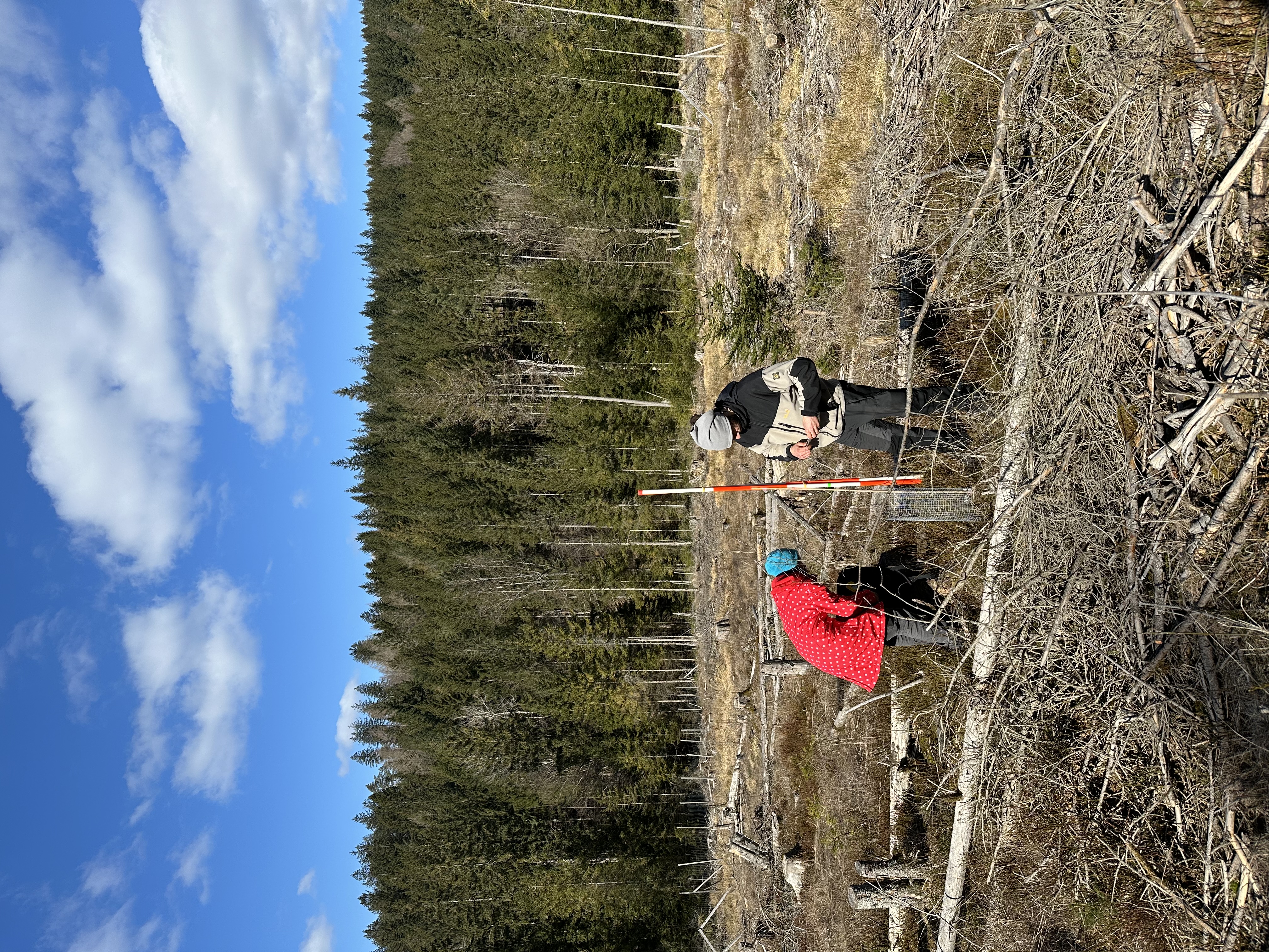 field work